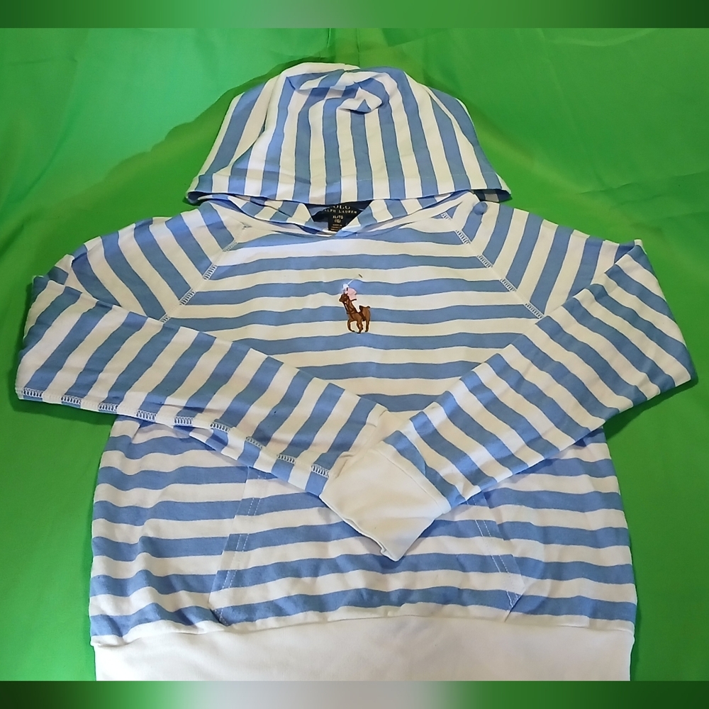 Polo by Ralph Lauren Blue and White Striped Hoodie, Cropped